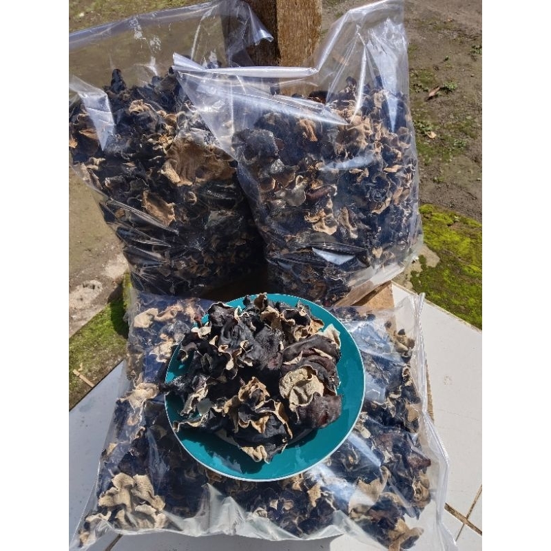 

[SKN] JAMUR KUPING KERING 1KG