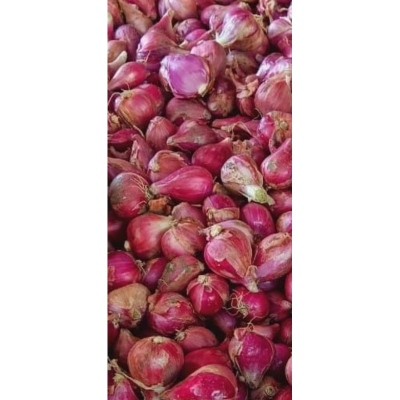 

bawang merah brebes kering super 1 kg