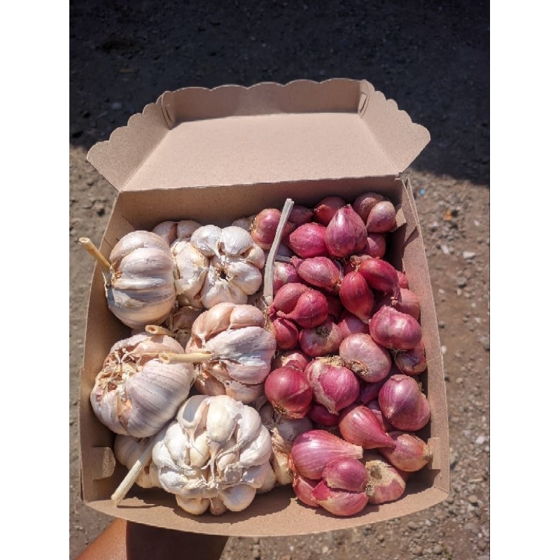 

Bawang merah bima campur bawang putih sinco 250gram + 250 gram