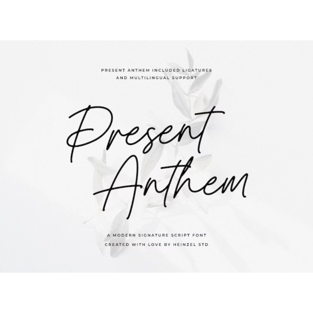 Modern Script Font, Signature Font, Handwritten Font, Wedding Script Font, Procreate Fonts, Canva Fo