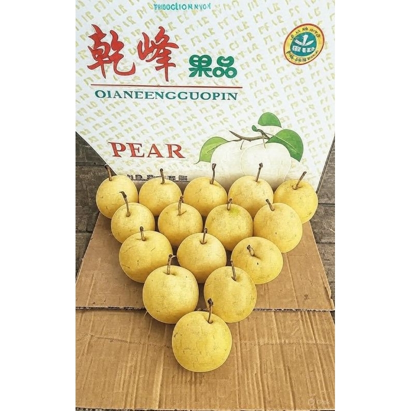 

century pear60