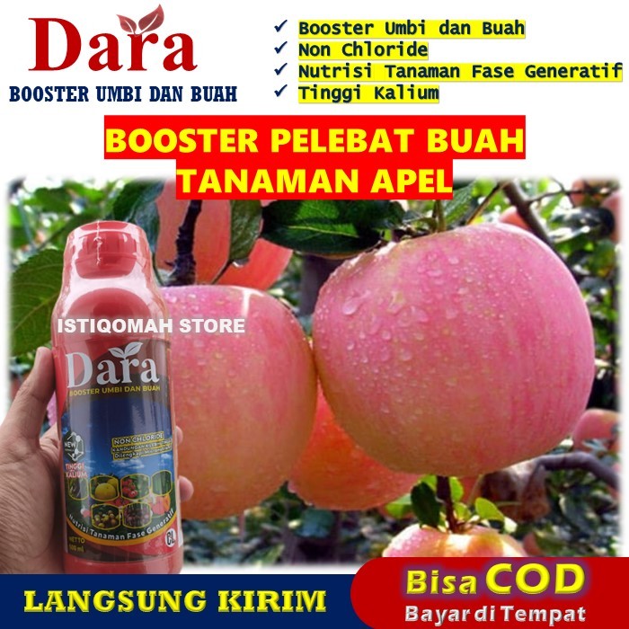 Pupuk Booster Buah Apel DARA 500ML – Pelebat Buah Apel Paling Ampuh, Perangsang Buah, Pemacu Buah Ap