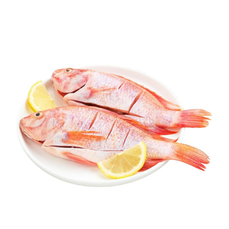 

Ikan Nila Merah Segar Bersih 480gr/Nila Utuh Bersih