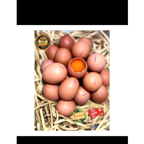 

Telur omega 3 1 Tray ( 30 BUTIR UKURAN BESAR)