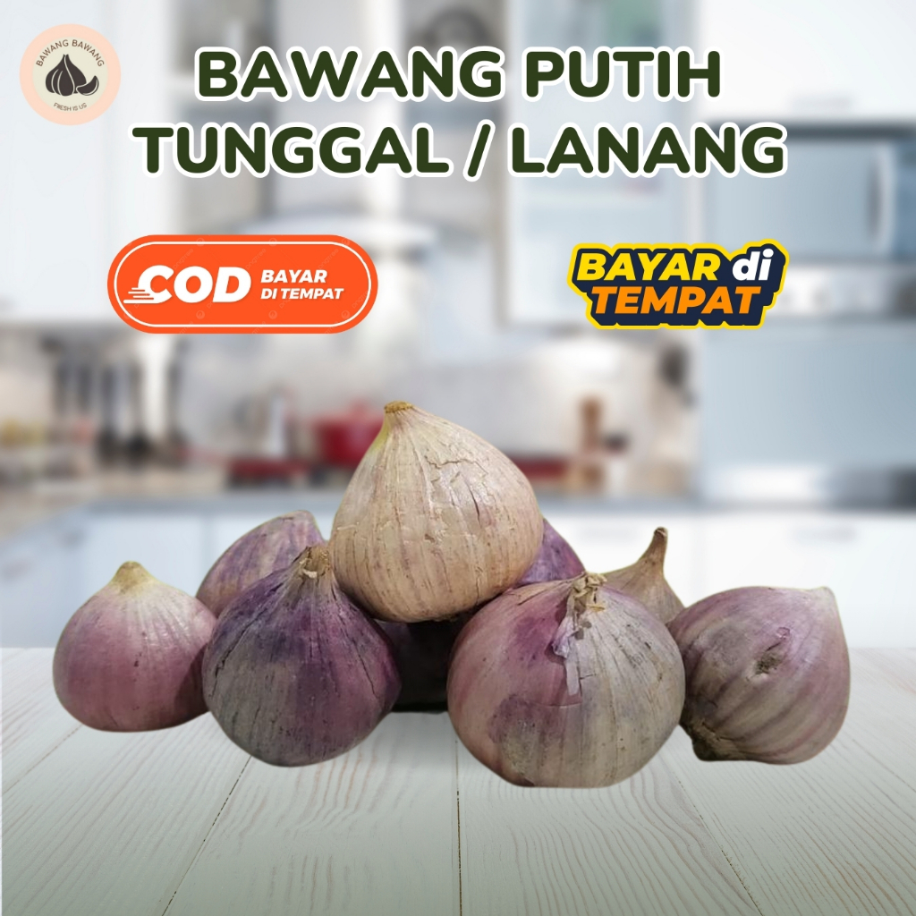 

RB Bawang Putih Tunggal Lanang JUMBO 2.5 Cm 250 GR