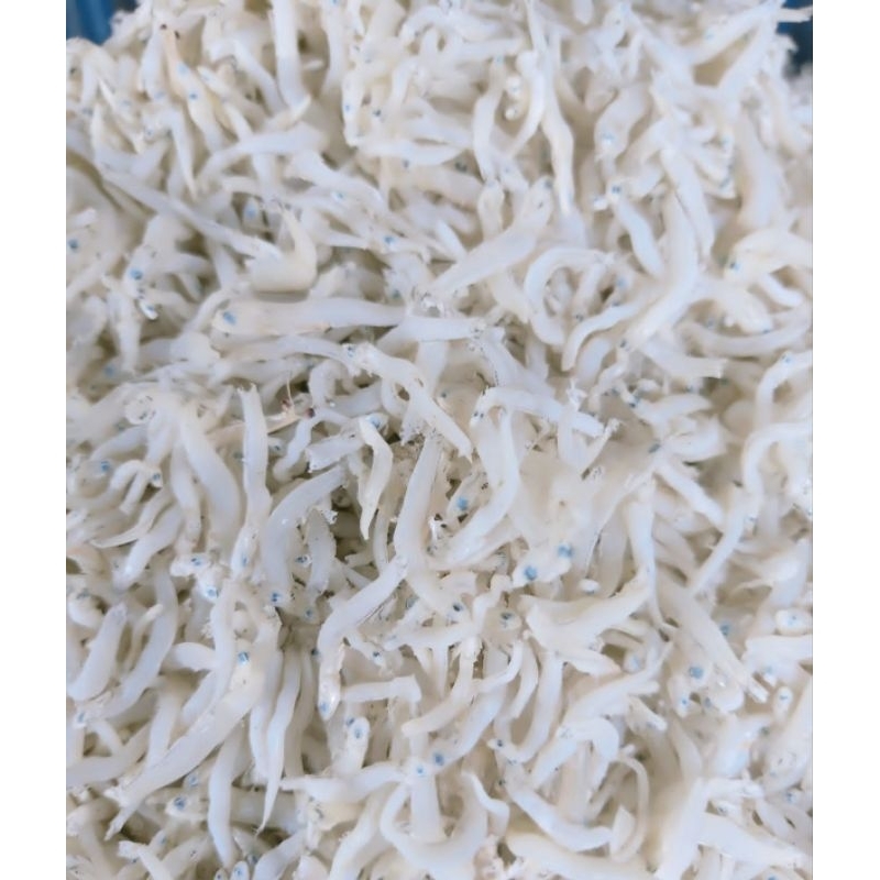 

Teri Nasi Medan