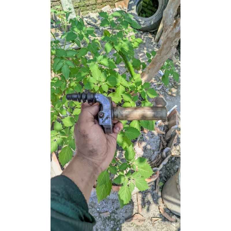 Gas spontan Turbo original