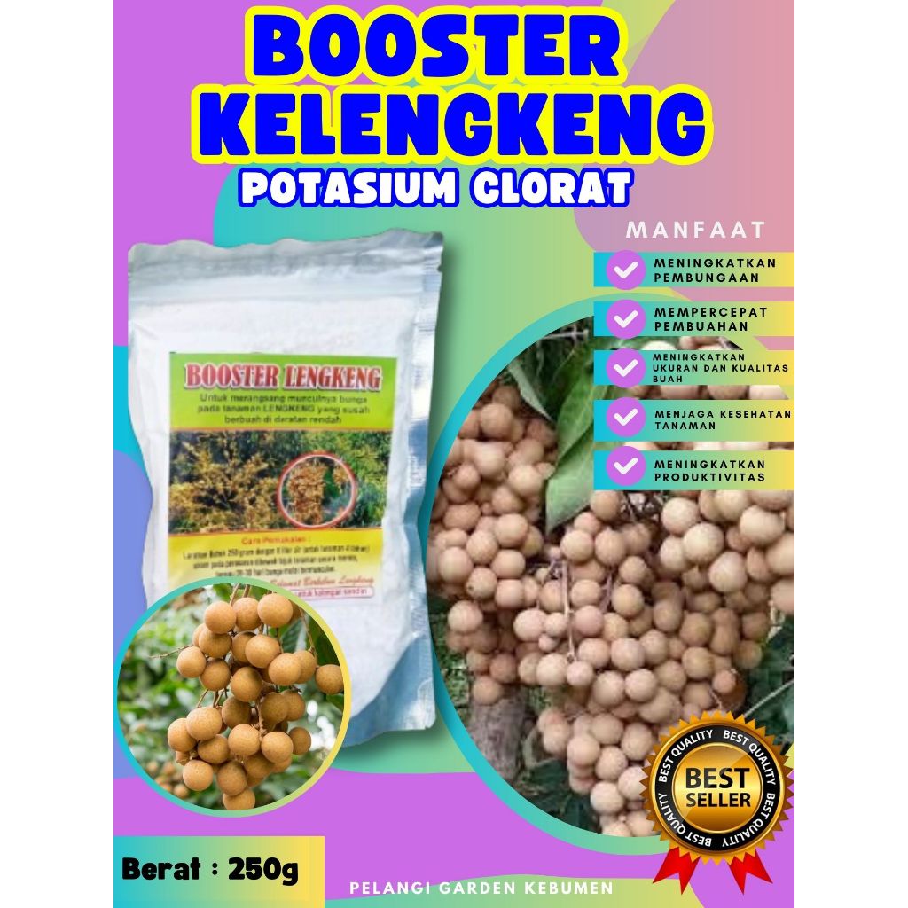 SOLUSI AMPUH  Booster Kelengkeng Cangkokan, Booster Kelengkeng Cristal