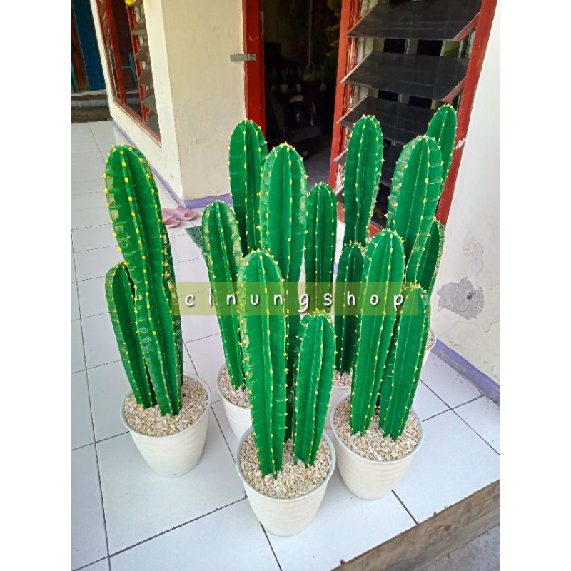 kaktus impor COD/kaktus artificial jumbo murah/paket lengkap pot busa dan batu dekorasi ruangan/shab