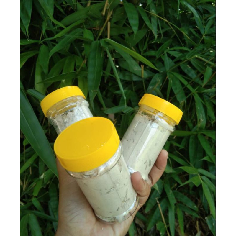 PAKET HEMAT UMPAN KUCUR JITU / UMPAN KUCUR SPECIAL IKAN BAUNG / IKAN SENGGAL / AMPAN KUCUR PUTIH / U