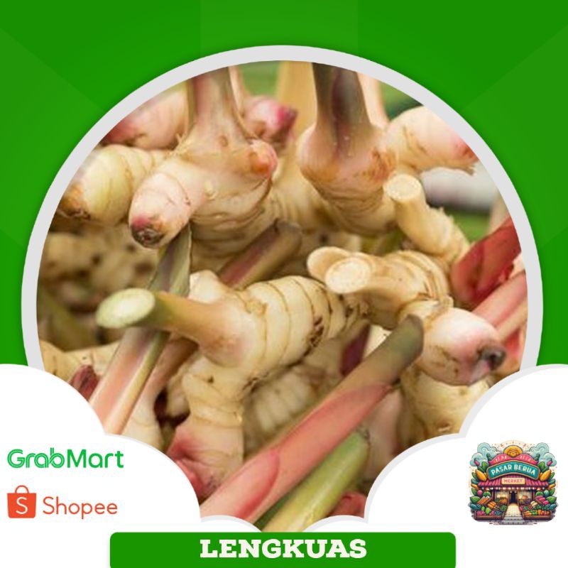 

Lengkuas ~ Murah Pasar Induk Daring
