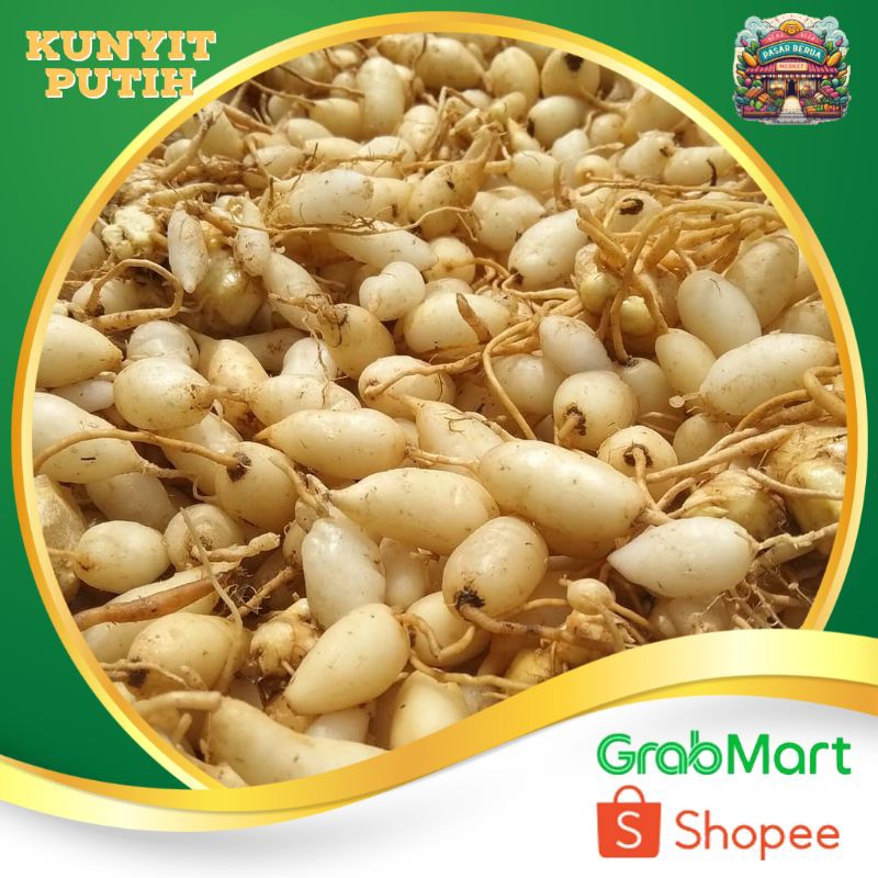 

Kunyit putih ~ Murah Pasar Induk Daring