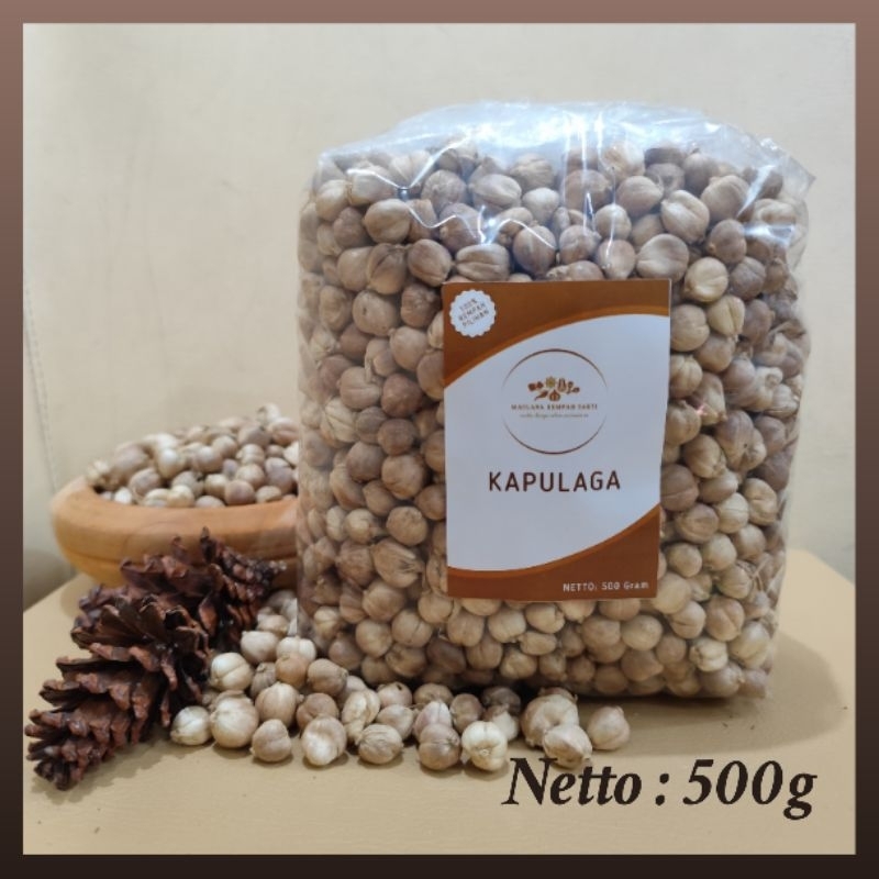 

Kapulaga Kering 500 gram || Kualitas Pilihan || Alami Tanpa Bahan Campuran Kimia