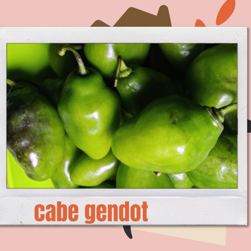 

cabe gendot Pangalengan