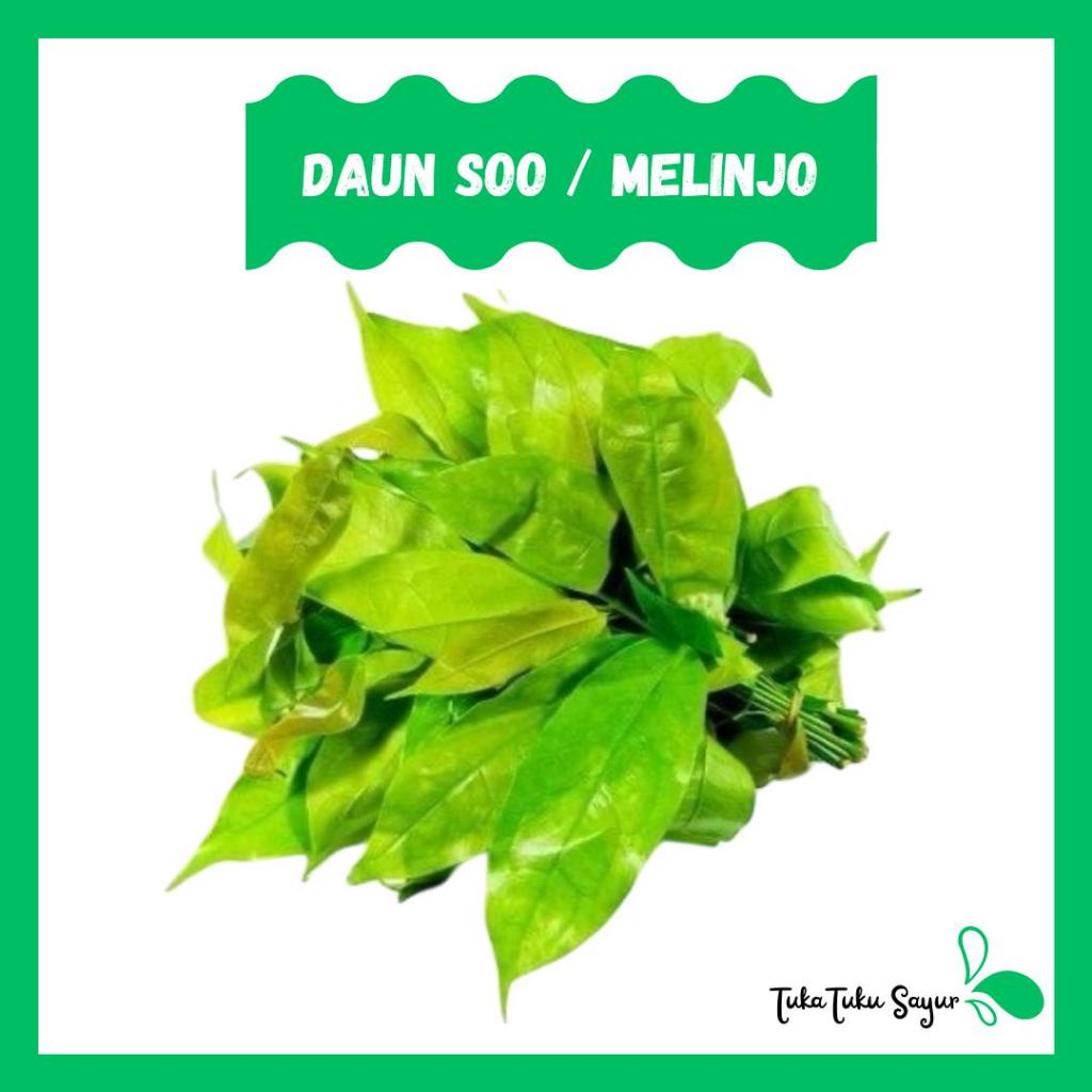 

DAUN MELINJO (per ikat) - TukaTuku Sayur