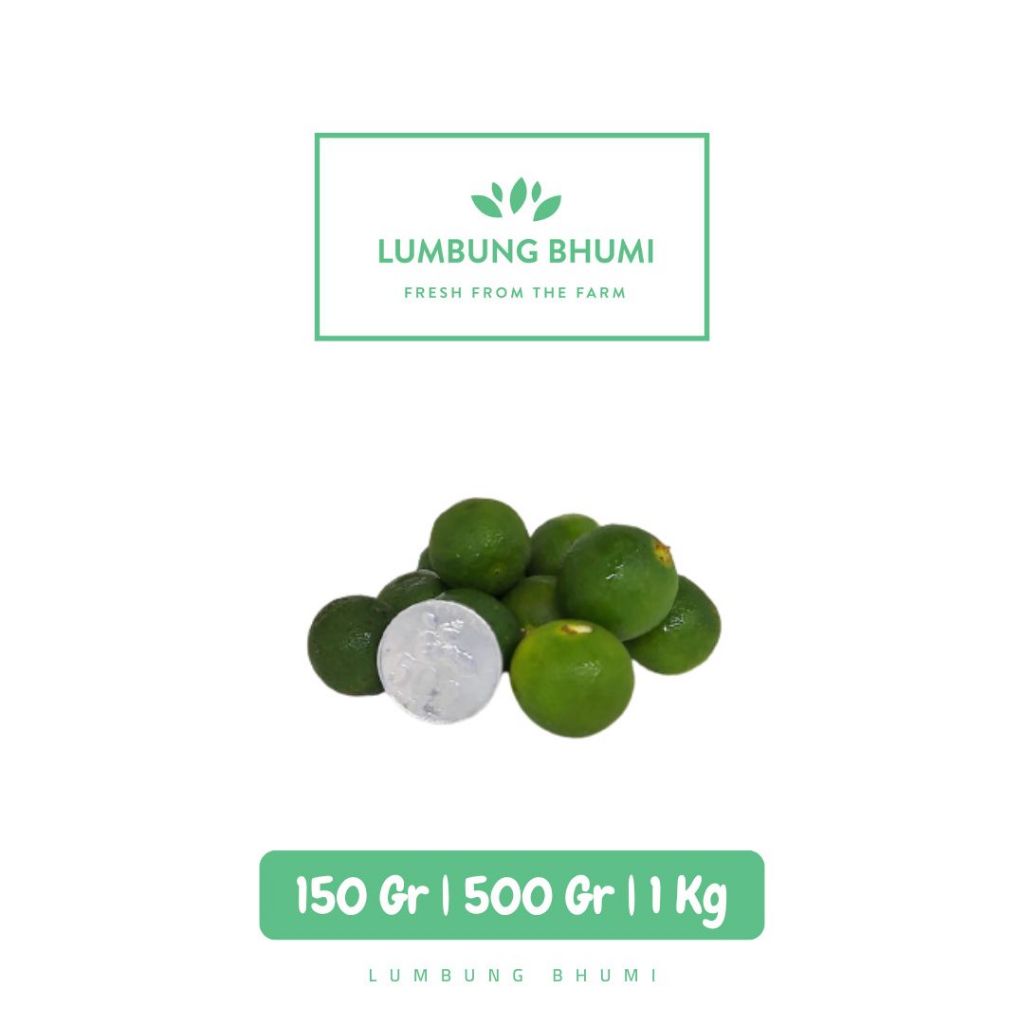 

Jeruk Sonkit Kunci Sayur - Lumbung Bhumi