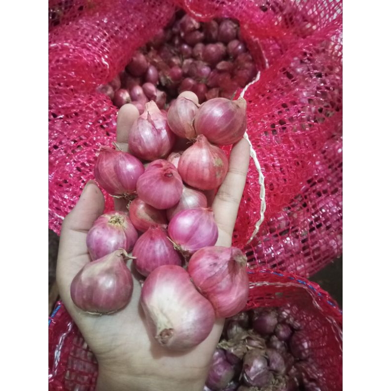 

bawang merah 500g super harga termurah