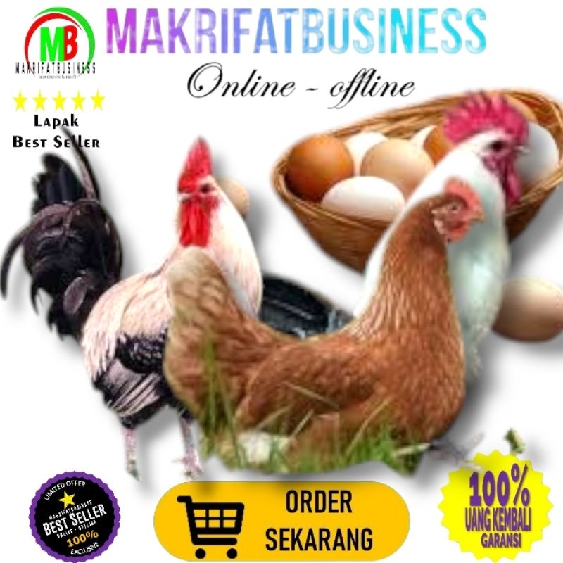 

MAKRIFATBUSINESS Paket 9 Pcs Telur FERTIL Ayam ELBA vs AYAM ARAB Untuk Ditetaskan Oleh Farm Profesional