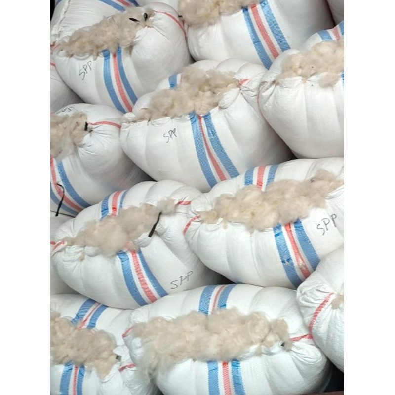 Kapuk Randu Kiloan Tanpa Biji - Kapuk Randu Asli Super