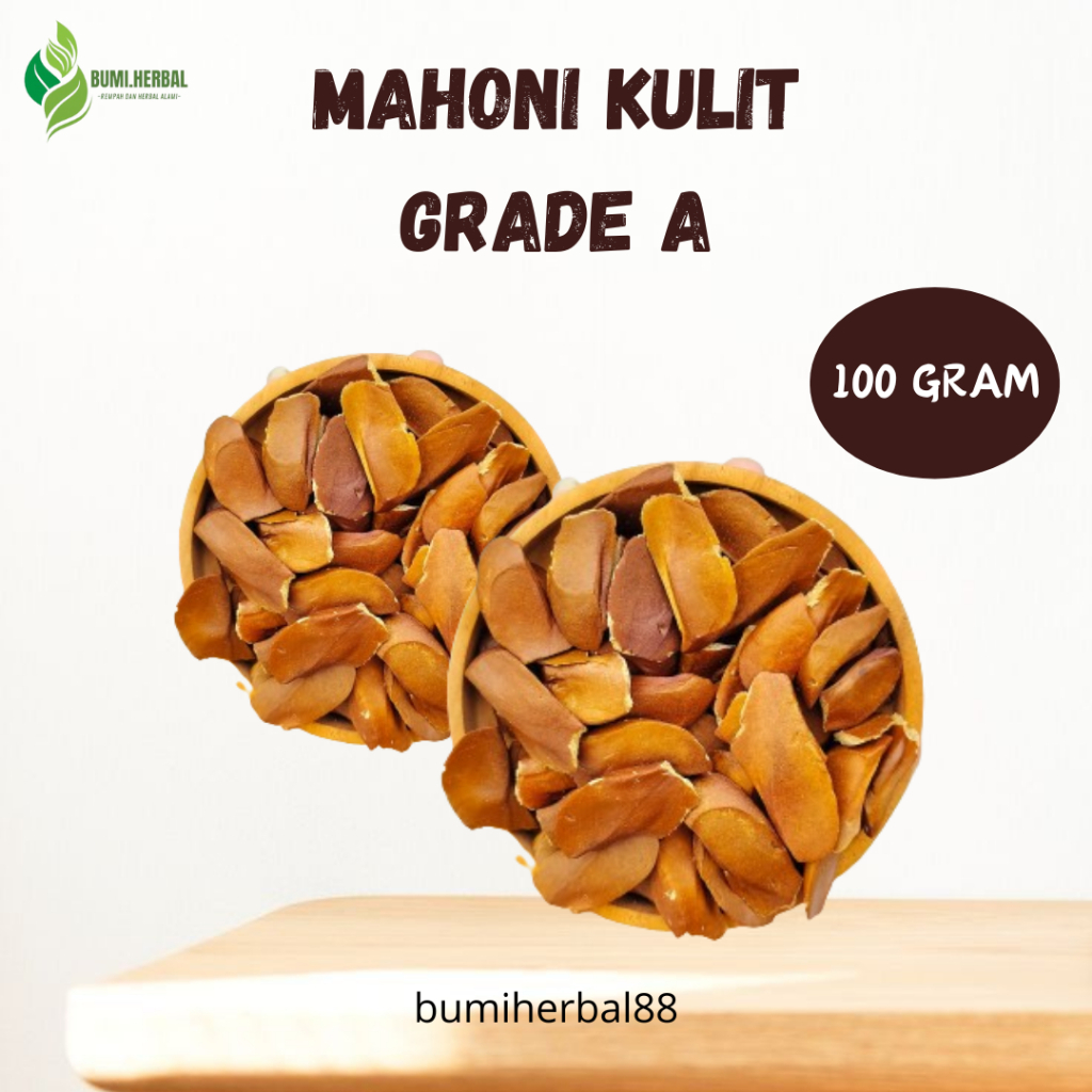 

BIJI MAHONI KULIT 100 GR