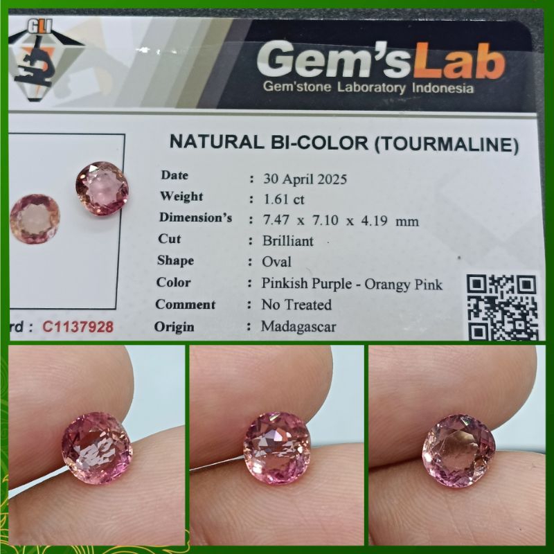 Natural Bicolor Tourmaline 1,6ct top Luster Kristal plus memo