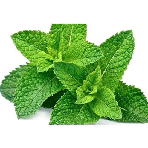 

Daun Mint Segar 50gr – Defa Fresh Market