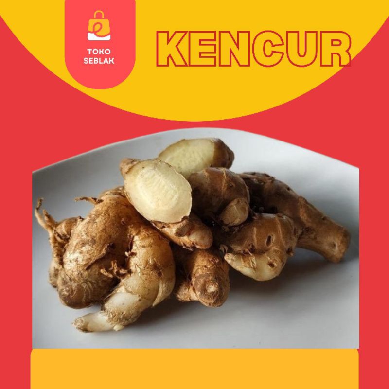 

Kencur segar tua/kencur seblak tua & bersih tidak beserta tanah(berdaging putih dan harum)