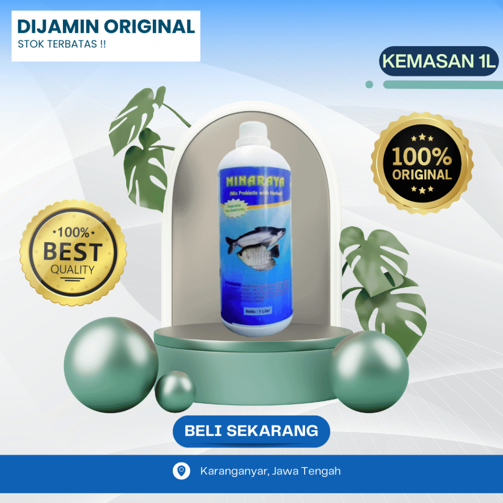 Minaraya Ikan 1L - Probiotik untuk ikan membantu menguraoi pakan dan meningkatkan kualitas kolam
