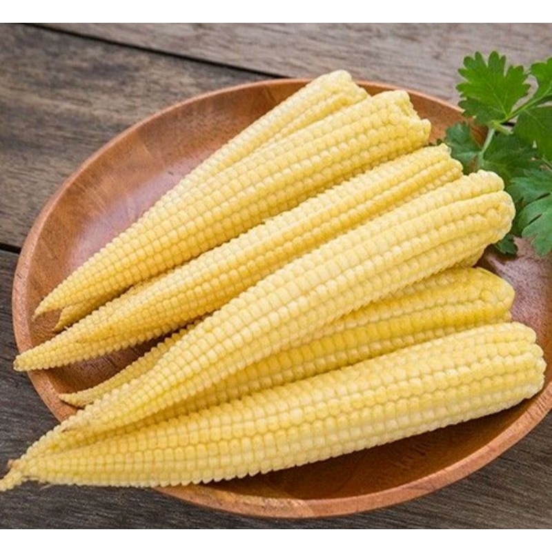 

Putren segar 250gr..