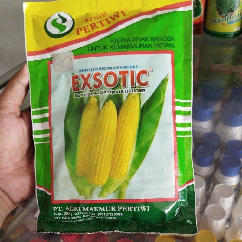 JAGUNG MANIS EXOTIC ORIGINAL PABRIK
