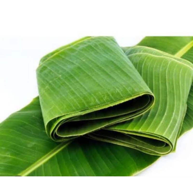 

Daun pisang segar alami 1 ikat isi 10 lembar