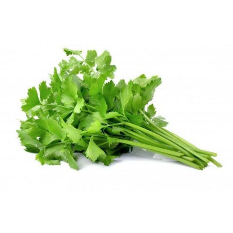 

Daun seledri