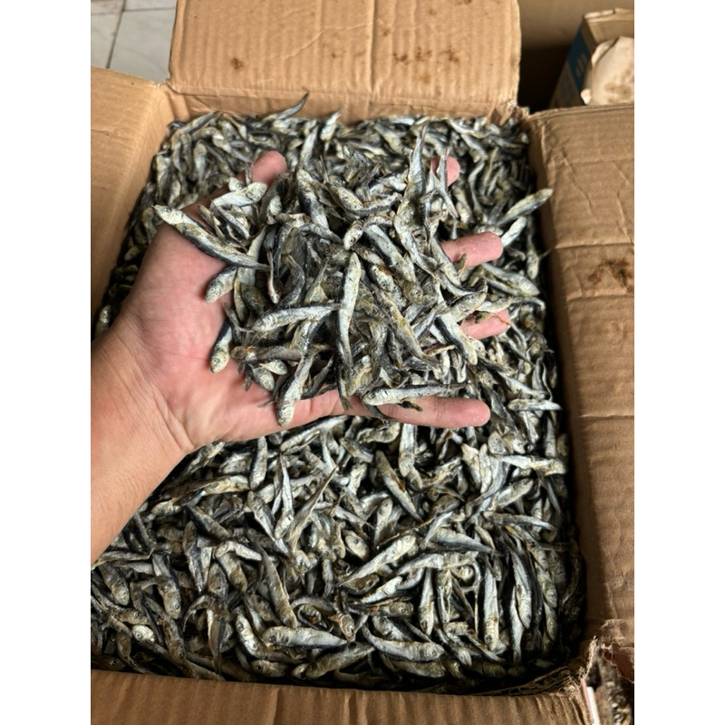 

Ikan Asin Teri Hitam / Teri Batu / Teri Samenit 250gr