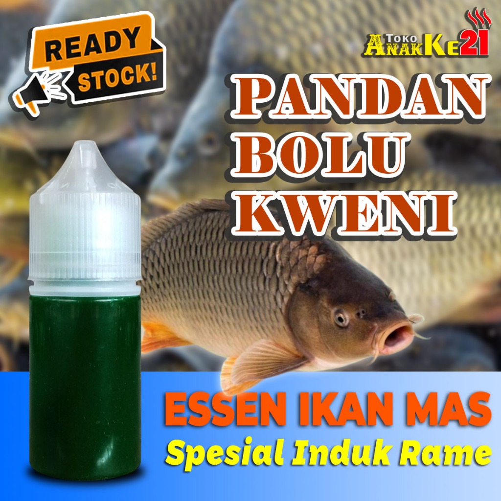 Essen Ikan Mas Terbaik Aroma Pandan Bolu Kweni Spesial Induk Rame