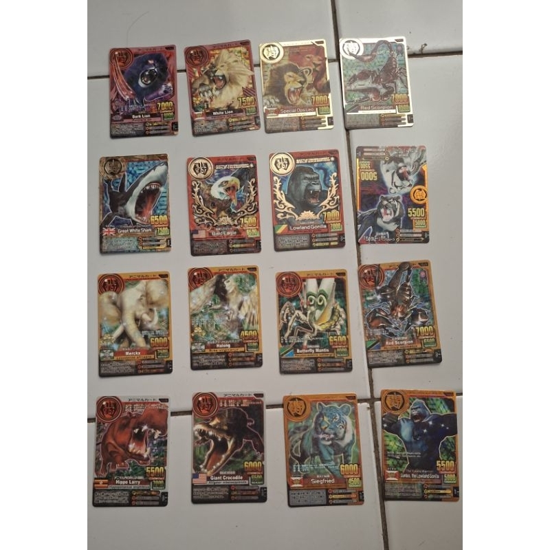 kartu animal kaiser kw