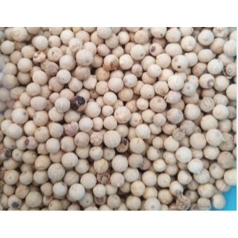 

Lada Putih / White Pepper 100gr