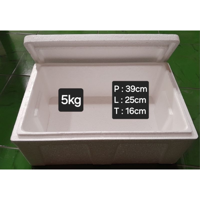 Box Es Styrofoam. packing frozen food