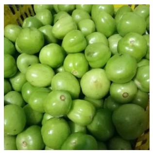

Tomat Hijau / Green Tomatoes 500gr