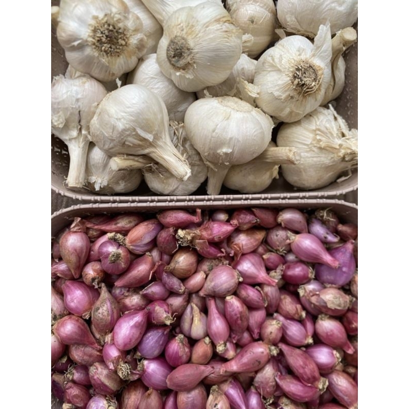 

(1000gr) paket bamer kecil ½kg + baput kating ½kg (G)