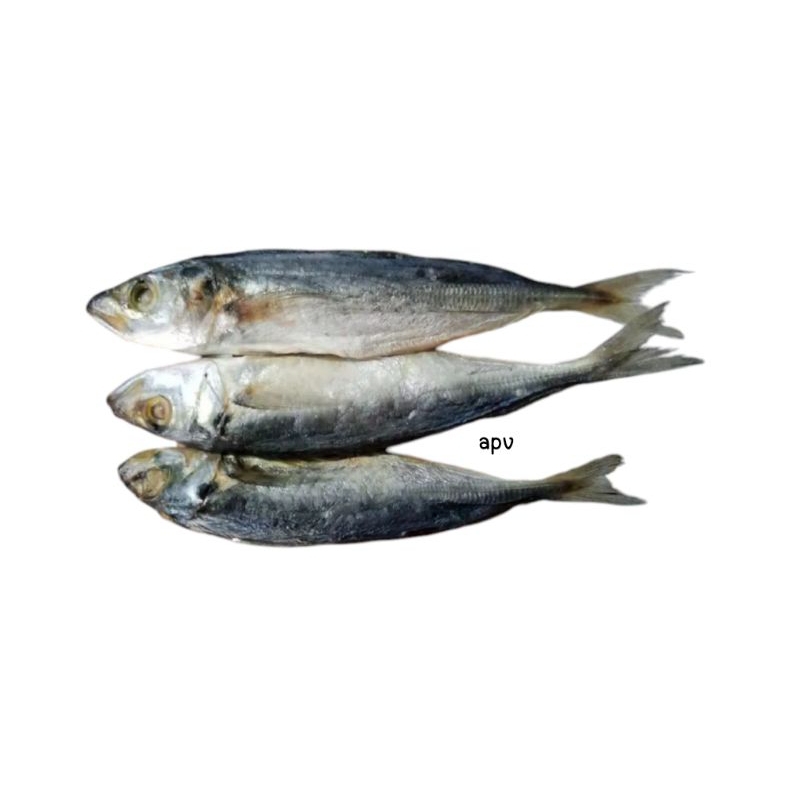 

ikan asin peda/pedo 500 gram