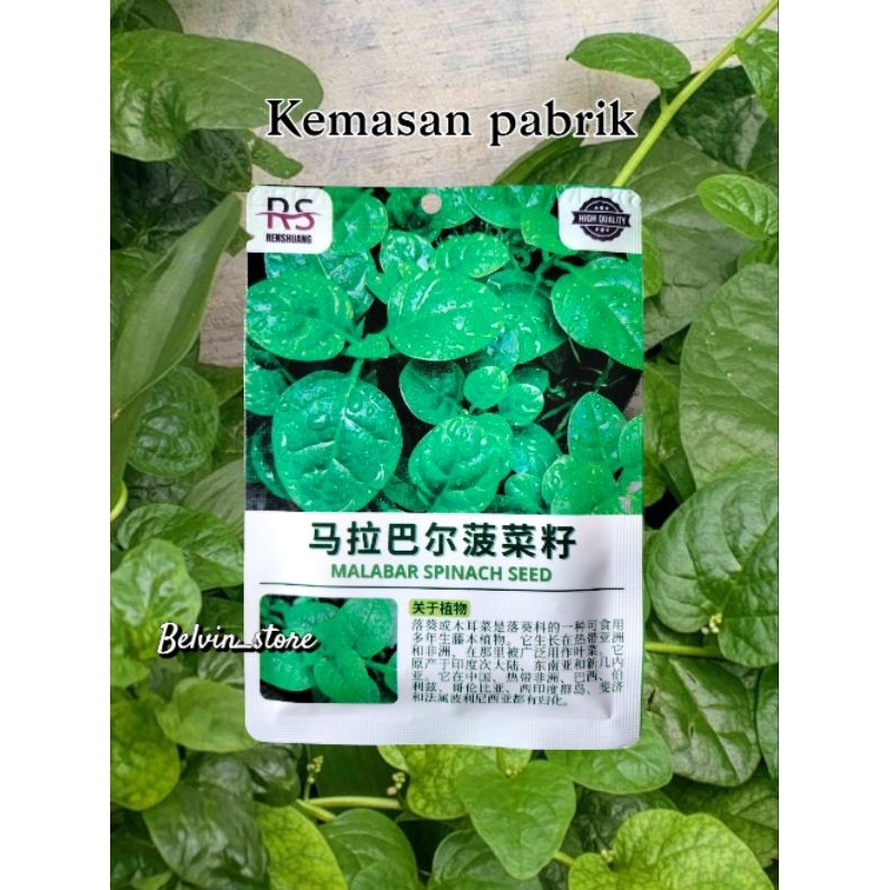 benih sayuran bayam malabar import [kemasan pabrik]