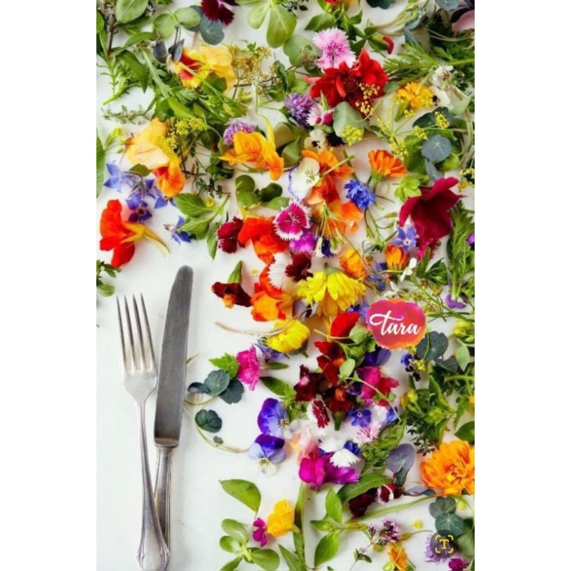 

Fresh Edible Organic flowers Mix/ Bunga Segar yang bisa dimakan