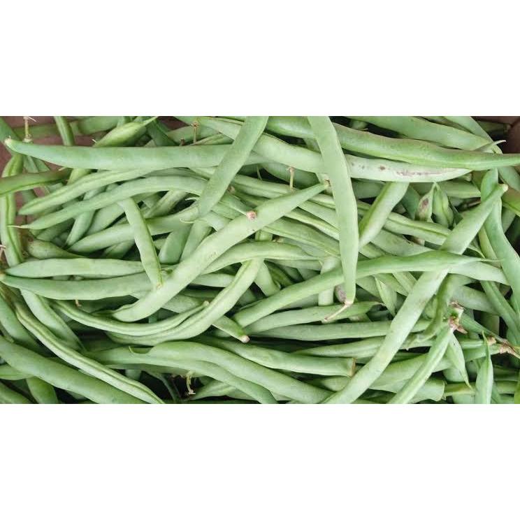

Buncis Segar / buncis fresh /sayur buncis / sayuran buncis