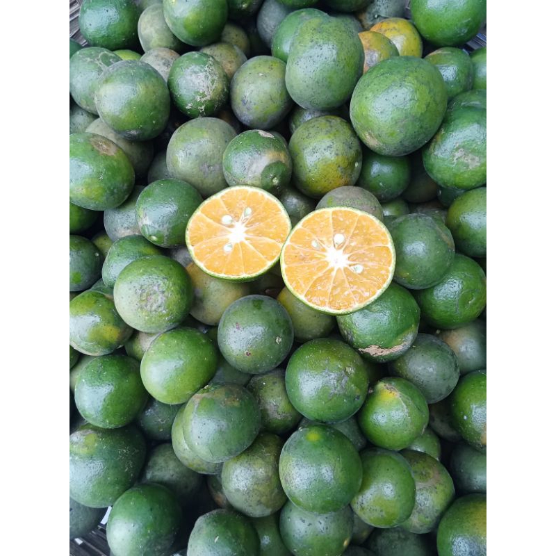 

jeruk peras 500 gram..dipetik saat dipesan