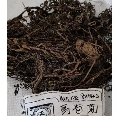

Ma Chi Xian/ 马齿苋/ Portulaca oleracea L