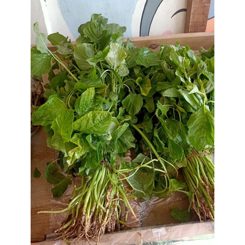 

Bayam Hijau