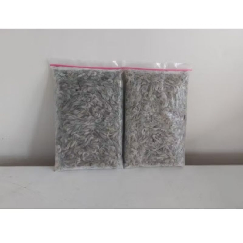 

Udang Sawah Beku Bersih 500 gr / Udang Kecil Beku Bersih Fresh