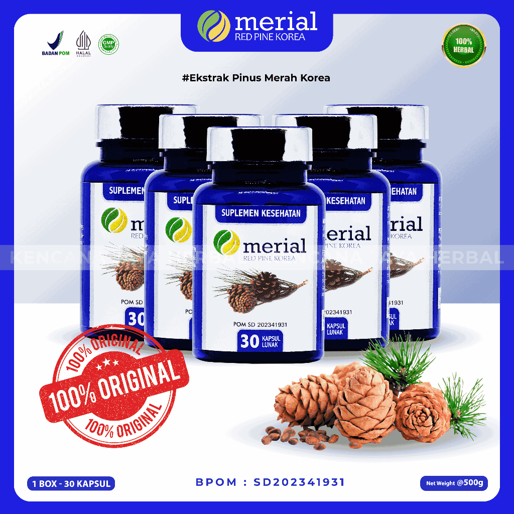 MERIAL RED PINE - PAKET 5 BOX / Merial Obat Kolesterol