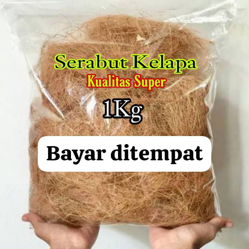 Sabut kelapa Serabut Kelapa 1kg