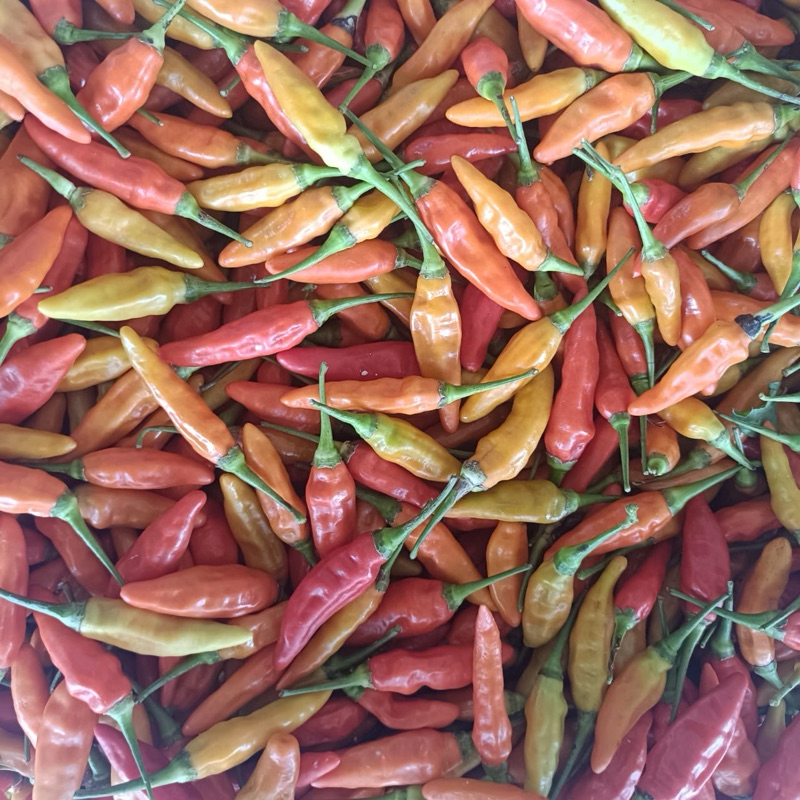 

CABAI MERAH ORI 500gram-1KG